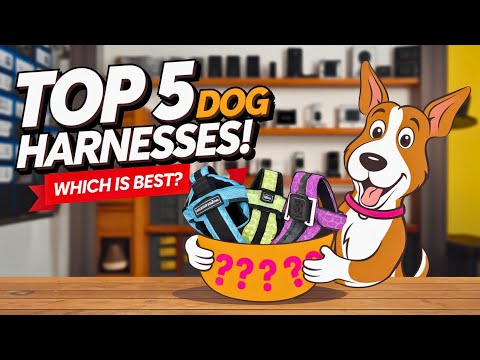 Top 5 Dog Harnesses Put to the Test: Which One is Best for Your Pup?