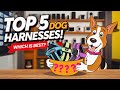 Top 5 Dog Harnesses Put To The Test Which One Is Best For Your Pup
