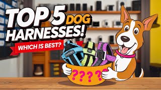 Top 5 Dog Harnesses Put to the Test: Which One is Best for Y
