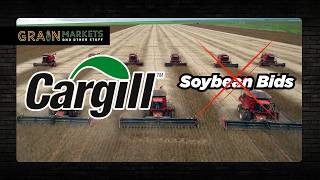 Why Did Cargill Stop Buying Soybeans from Brazilian Farmers