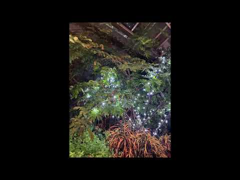 [FREE] guardin, skele, fats'e type beat | "cant u tell?" (prod jolst)