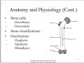 rad 454 skeletal pathology