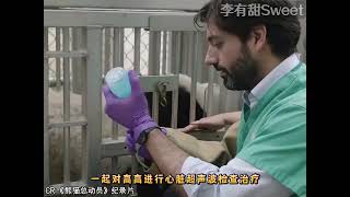 kid fuuny,songs for kids,for kids,baby songsOkolele,oko lele,Oko and Lele,oko lele officail,Oko 2