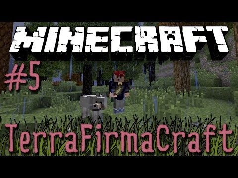 Minecraft: TerraFirmaCraft - Episode 5