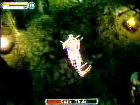 LvL 80 Iksar Shaman in Champions RTA