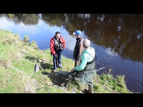 Salmon Fishing, River Mourne, Strabane & Sion Mills - 22 Sept 2018 v1