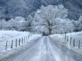 Old Tennessee ~ Dan Fogelberg 【CC】【HD】
