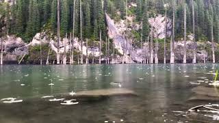 preview picture of video 'Озеро Каинды затопленный лес красота Казахстана'