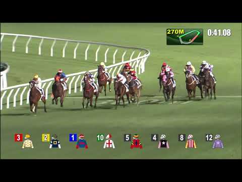 10/11/2021 (161) Joyful Win- Matthew Chadwick