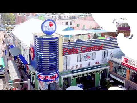 Pets Central西貢醫院 | Pets Central Sai Kung |  提供獸醫緊急服務