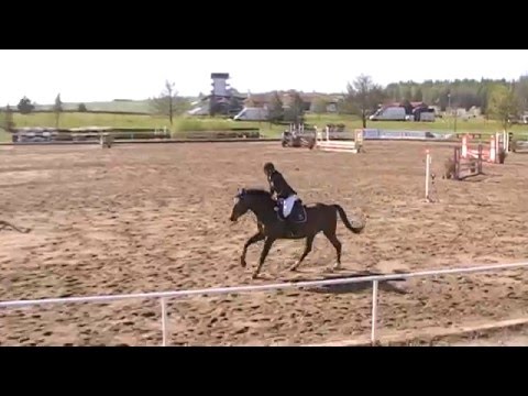 Káťa Zemanová a Fronesis - parkur ZZ