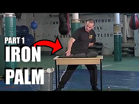 HARDCORE IRON PALM | Five Thunder Dim Mak #1