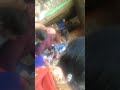 Gajala Ki Sadi Dahi