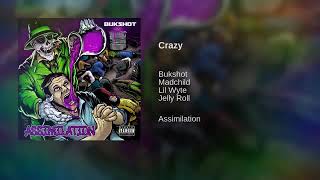 CRAZY FT MADCHILD , Lil Wyte &amp; Jelly Roll (Bukshot of Underground Avengers)