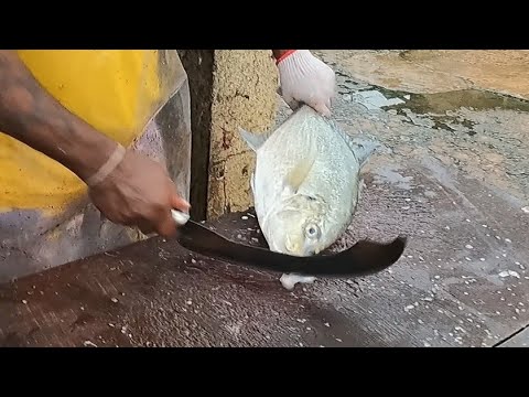 FALSE TREVELLY FISH CUTTING | PARAWA | පරවා මාලූ කැපිල්ල | SRI LANKA 🇱🇰 CUTTING SEEKER