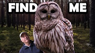 BARRED OWLS Are Easy To Find