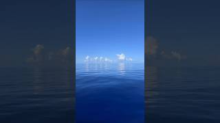 The Pacific Ocean is taking a nap #cruisevlog #audhdtravel