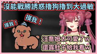 狗狗翻身露肚子到底誰能忍住不擼啦w 船長一時擼狗一時爽，擼完大過敏超慘w【宝鐘マリン】【寶鐘瑪琳】【Hololive中文】【Vtuber精華】