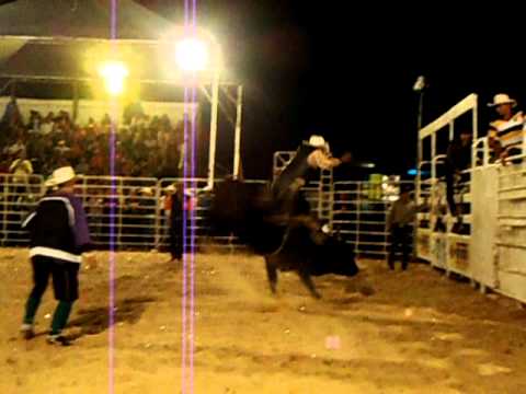 FERNANDO BATATA X GATO PRETO(NETO DE TAQUARITINGA)