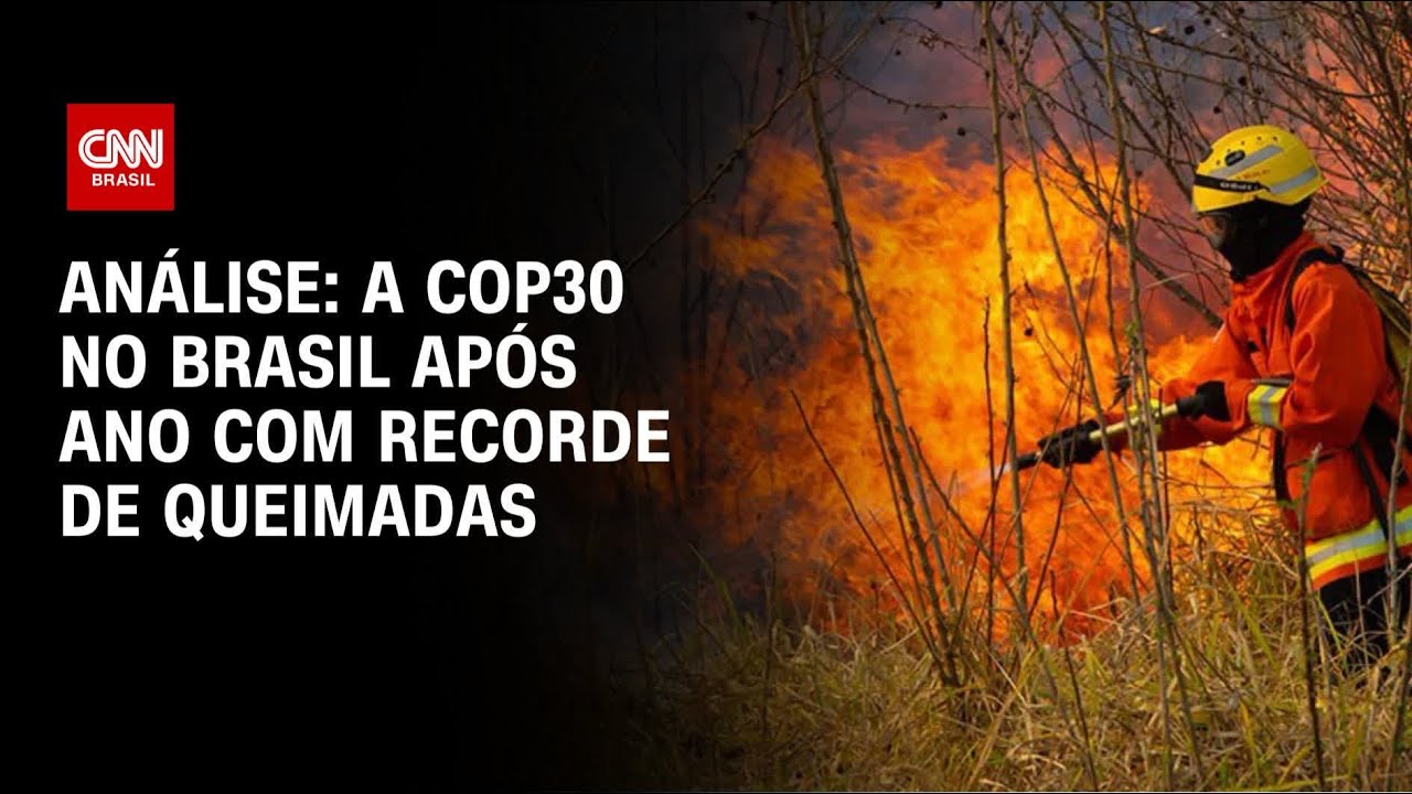 Análise: A COP30 no Brasil após ano com recorde de queimadas | WW