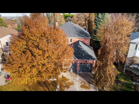 54 Webster Way, Georgetown Home for Sale - Real Estate Properties for Sale
