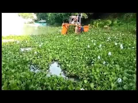 How emboch is most risk for lake tana