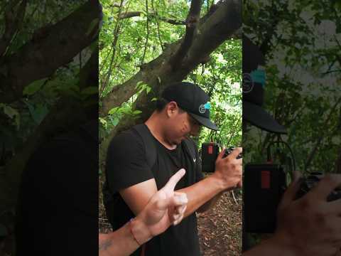 Tunel con arañas #depelicula #turismo #thisiselsalvador #travelvlog #2024 #future