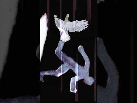 BOYNEXTDOOR 'VIRAL (SANTOS BRAVOS Remix)' Official Visualizer