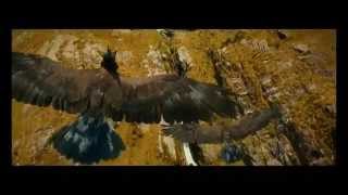 Nolwenn Leroy - Scarborough Fair HD