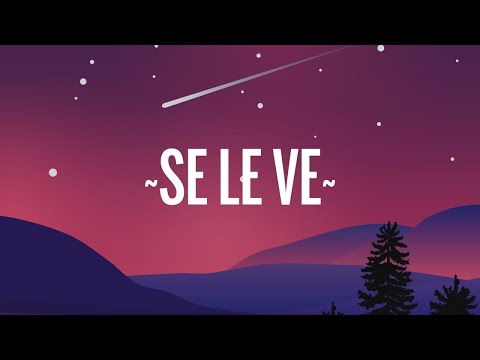 Dimelo Flow, Sech, Lenny Tavarez, Arcangel, De La Ghetto, Justin Quiles, Dalex - Se Le Ve (Letra)