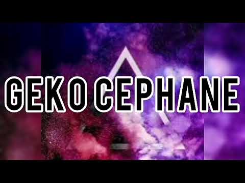 Geko - Cephane