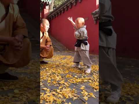 Shaolin Kung Fu #Shorts#monk#bruce lee#jackie chan#yipman#mma#ufc#gym#workout#Muay Thai#wwe