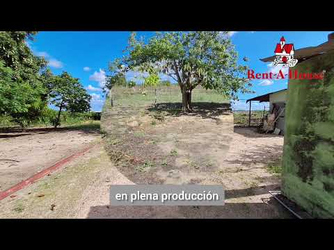 Espectacular finca en venta en Santa Bárbara, Monagas