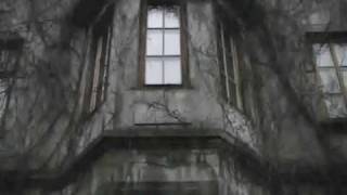 The Tear Garden - The Strong and Whining Toad