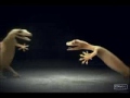 Tiktiki Video