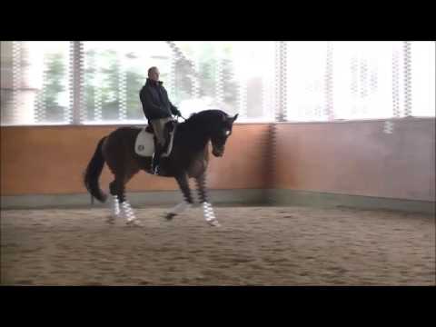 Scolari Florencio komplett