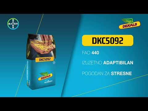 Dekalb kukuruz DKC5092 prinos i sigurnost iznad svega!