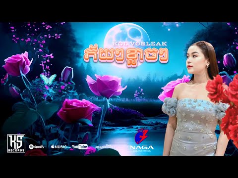 Kol Vorleak - ភ័យៗខ្លាចៗ Phey Phey Klach Klach (Official Audio)