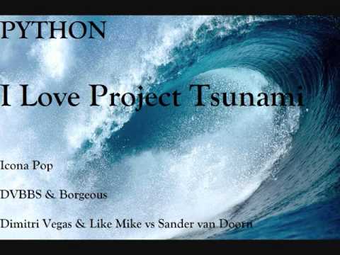 I Love Project Tsunami (Mash-up by Python) (Icona Pop x Dimitri Vegas & Like Mike x DVBBS)