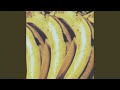 Flower (Live at Chicago Metro)