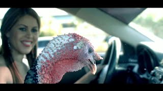 Llego el Pavo Lyrics English Translation