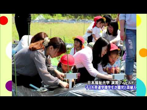 ニュースCCNC 「奥田保育所園児と苗植作業写真」