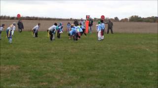 preview picture of video 'Knoxville Flag Football League - Panthers vs Lions'