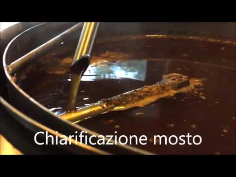 Quello che è lyambliya e come appaiono La vodka striscia a un gattino