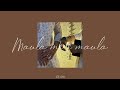 Maula Mere Maula Crossover Audio Edit Looped Version VR Edits