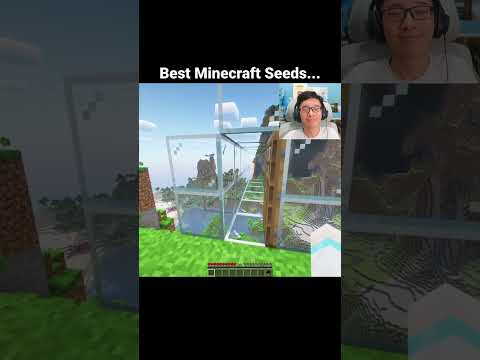 Minecraft Best Seeds Moment