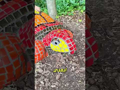 ولا حيوان تحرّك… إلا هذا! 😲