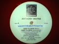 Anthony Wayne Keep Flowin Remix 1993