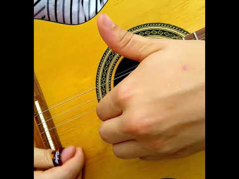 Siriema - Tonico e Tinoco