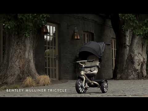 Bentley 6 in 1 Baby Stroller Mulliner - Cool Stone Grey
